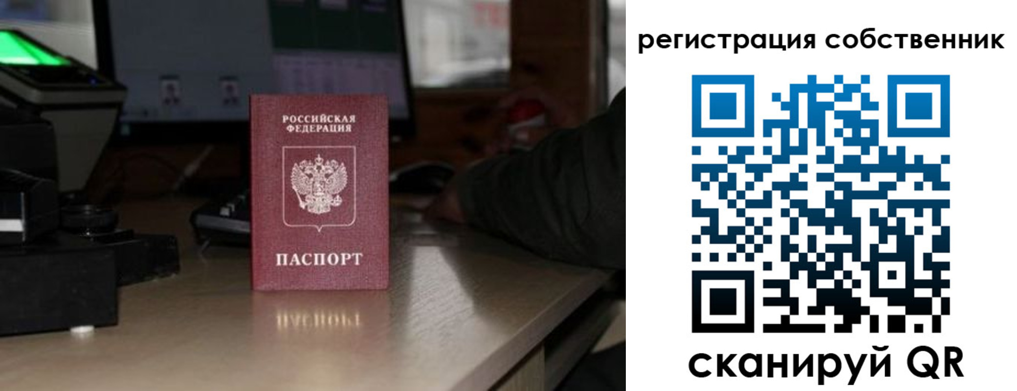 прописка поиск в Сафоново